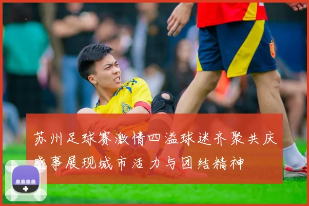 苏州足球赛激情四溢球迷齐聚共庆盛事展现城市活力与团结精神